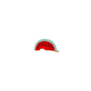 Vibrant Watermelon Acetate Hair Claw Clip for Women