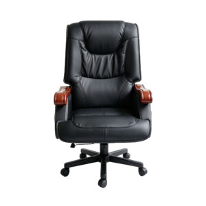 Cushioned-Back Office Chair