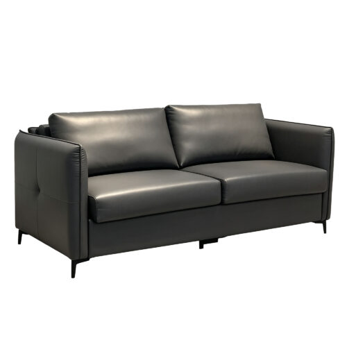 Ardelle Convertible Sofa Bed