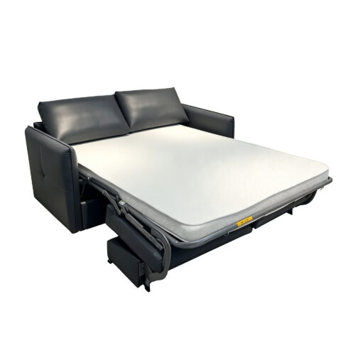 Ardelle Convertible Sofa Bed